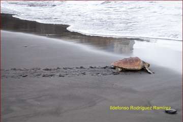 Ruta por la costa en memoria de José Luis González Ruano (Foto Ildefonso Rodríguez y TA)